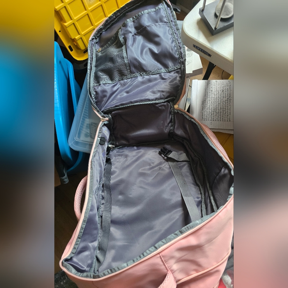 Pink and Gray Backpack